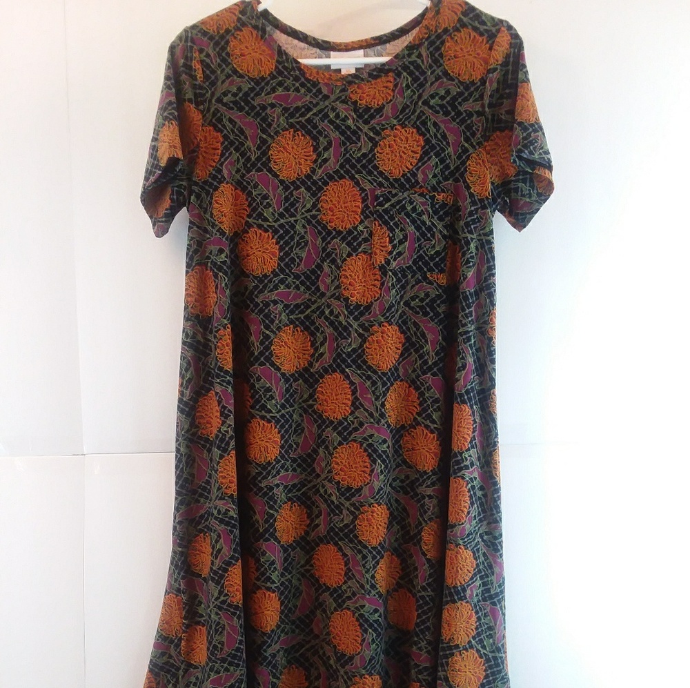 Lularoe Carly Dress Size XS